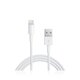 Apple Ladekabel Lightning to USB - bulk - (1m) - MD818ZM/A