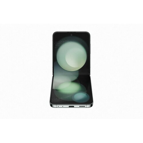 Samsung F731 Galaxy Z Flip5 5G (mint) - 256 GB - EU